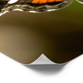 アメリカンレディーバタフライワイルドヒアシンスのポスター ポスター (角)