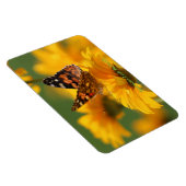 アメリカンレディーバタフライ マグネット (右側)