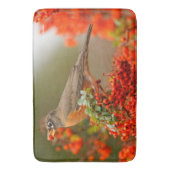 アメリカンロビンとピラカンサのポンメ バスマット (正面縦)