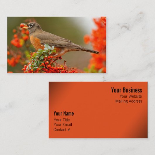 アメリカンロビンとピラカンサのポンメ 名刺 (正面/裏面)