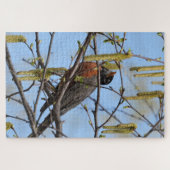 アメリカンロビンは、内皮を持った枝にとびかかった ジグソーパズル (横)