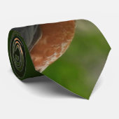 アメリカンロビンバード ネクタイ (ロール)