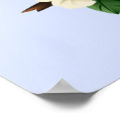 アメリカンロビンバード ポスター (角)