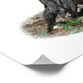 アメリカンロビンプリント&ポスター ポスター (角)