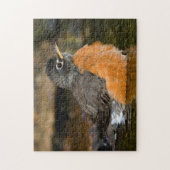 アメリカンロビン入浴2 ジグソーパズル (縦)