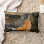 アメリカンロビン入浴2 ランバークッション (ブランケット)