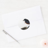 アメリカンロビン建物アネスト ラウンドシール (封筒)