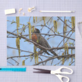 アメリカンロビン春花ズカトキンス 薄葉紙 (クラフト)