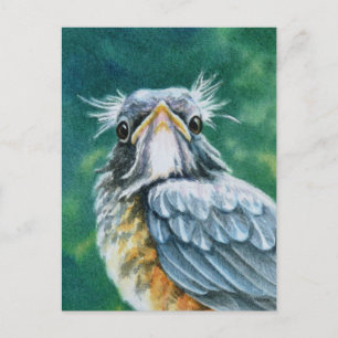 アメリカンロビン鳥の羽ばたき水彩画 ポストカード