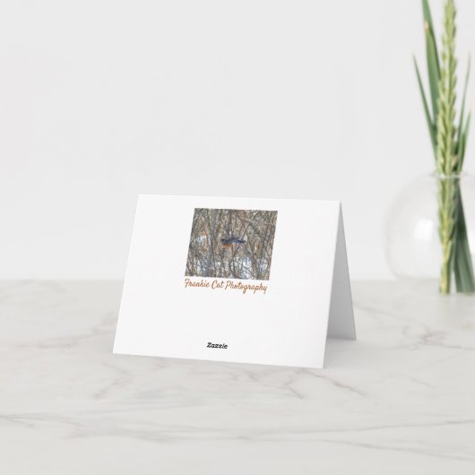 アメリカンロビン カード (裏面)