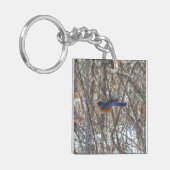 アメリカンロビン キーホルダー (正面左)