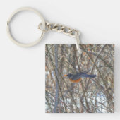 アメリカンロビン キーホルダー (正面)