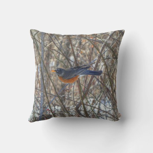 アメリカンロビン クッション (裏面)