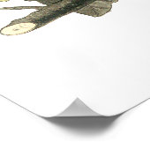 アメリカンロビン、ジョン・オードボンプリント ポスター (角)