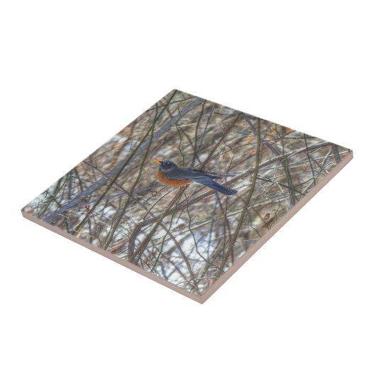 アメリカンロビン タイル (側面)