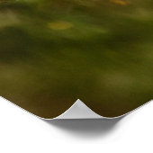 アメリカンロビン ポスター (角)