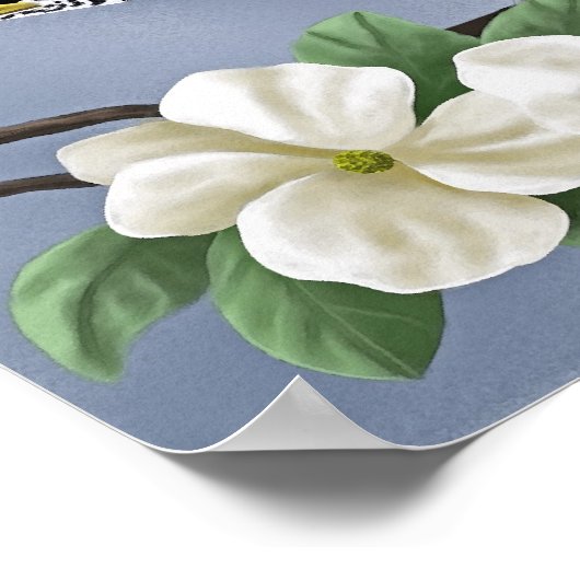 アメリカンロビン ポスター (角)