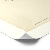 アメリカンロビン ポスター (角)