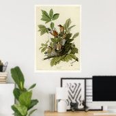 アメリカンロビン ポスター (ホームオフィス)