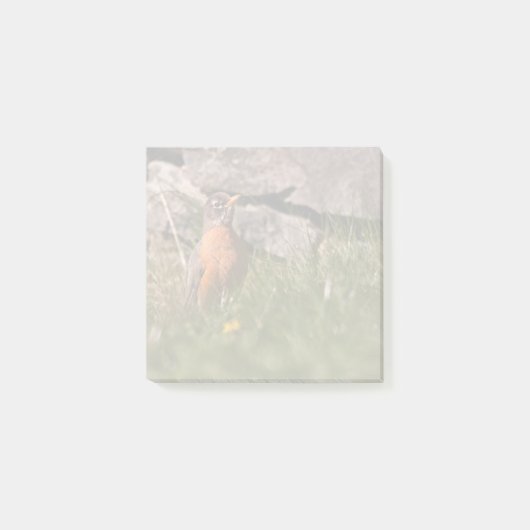 アメリカンロビン ポストイット (正面)