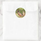 アメリカンロビン ラウンドシール (バッグ)