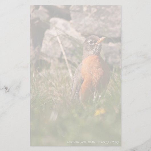 アメリカンロビン 便箋 (正面)