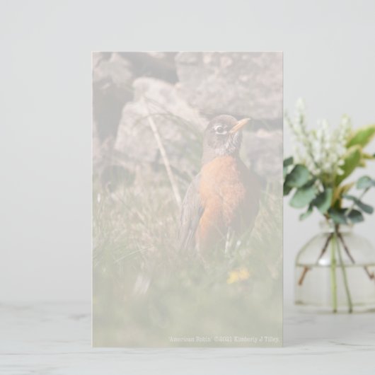 アメリカンロビン 便箋 (スタンド正面)