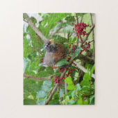 アメリカンロビン – Backyard Bird Series -パズル ジグソーパズル (縦)