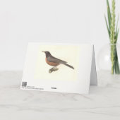 アメリカンロビン(Turdus migraatorius)ニューヨークの鳥 カード (裏面)