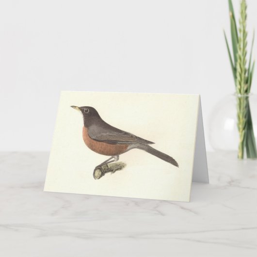 アメリカンロビン(Turdus migraatorius)ニューヨークの鳥 カード (正面)