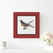 アメリカンロビン(Turdus migraatorius)ニューヨークの鳥 スクエア壁時計 (ホーム)