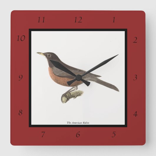 アメリカンロビン(Turdus migraatorius)ニューヨークの鳥 スクエア壁時計 (正面)