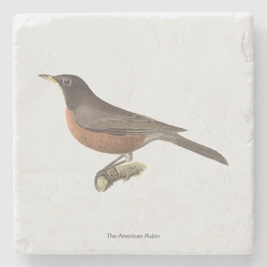 アメリカンロビン(Turdus migraatorius)ニューヨークの鳥 ストーンコースター (正面)