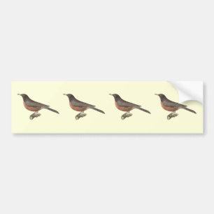 アメリカンロビン(Turdus migraatorius)ニューヨークの鳥 バンパーステッカー