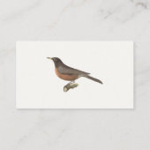 アメリカンロビン(Turdus migraatorius)ニューヨークの鳥 名刺 (裏面)