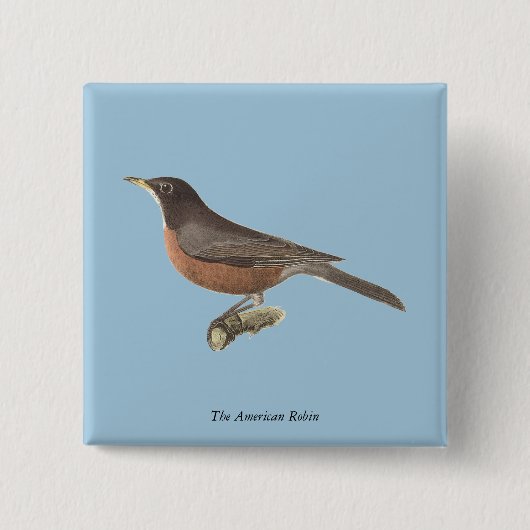 アメリカンロビン(Turdus migraatorius)ニューヨークの鳥 缶バッジ (正面)