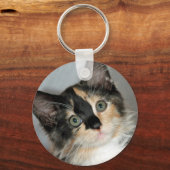 アメリカンロングヘアカリコシェルターキッテンキーチェーン キーホルダー (正面)