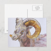 アメリカンロングホーン2004 ポストカード (正面/裏面)