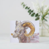 アメリカンロングホーン2004 ポストカード (スタンド正面)