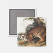 アメリカンワイルドキャットイラストレーション マグネット (正面/裏面)