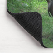 アメリカンワイルドターキー マウスパッド (コーナー)