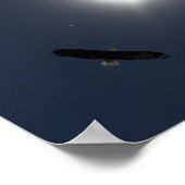 アメリカン威厳があるエクリプス21, 2017 ポスター (角)