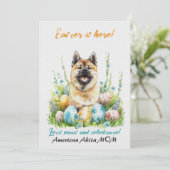 アメリカン秋田ウォーターカラーイースタードッグママパパ シーズンカード (スタンド正面)