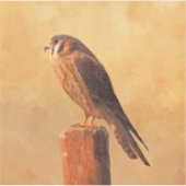 アメリカン絵画ケストレル – Bird Artオリジナル シール (正面)