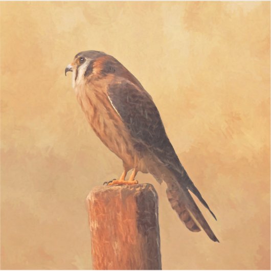 アメリカン絵画ケストレル – Bird Artオリジナル シール (正面)