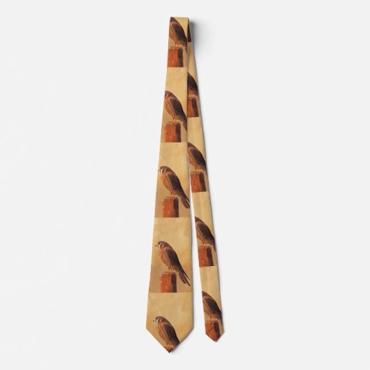 アメリカン絵画ケストレル – Bird Artオリジナル ネクタイ (正面)