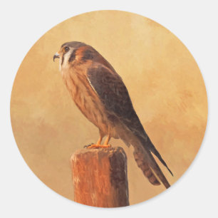 アメリカン絵画ケストレル – Bird Artオリジナル ラウンドシール