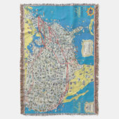 アメリカン航空システム地図 スローブランケット (正面縦)