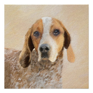 アメリカン・イングリッ絵画グ・ハウンド – Dog Art ポスター