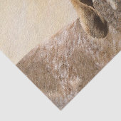 アメリカン・イングリッ絵画グ・ハウンド – Dog Art 薄葉紙 (詳細)